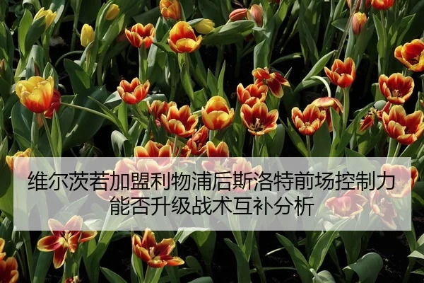 维尔茨若加盟利物浦后斯洛特前场控制力能否升级战术互补分析