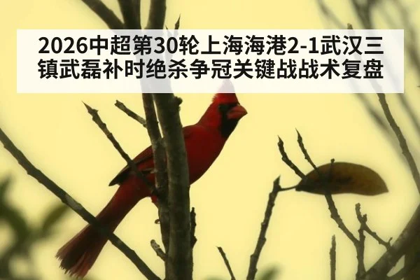 2026中超第30轮上海海港2-1武汉三镇武磊补时绝杀争冠关键战战术复盘
