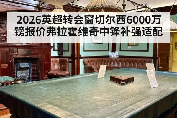 2026英超转会窗切尔西6000万镑报价弗拉霍维奇中锋补强适配